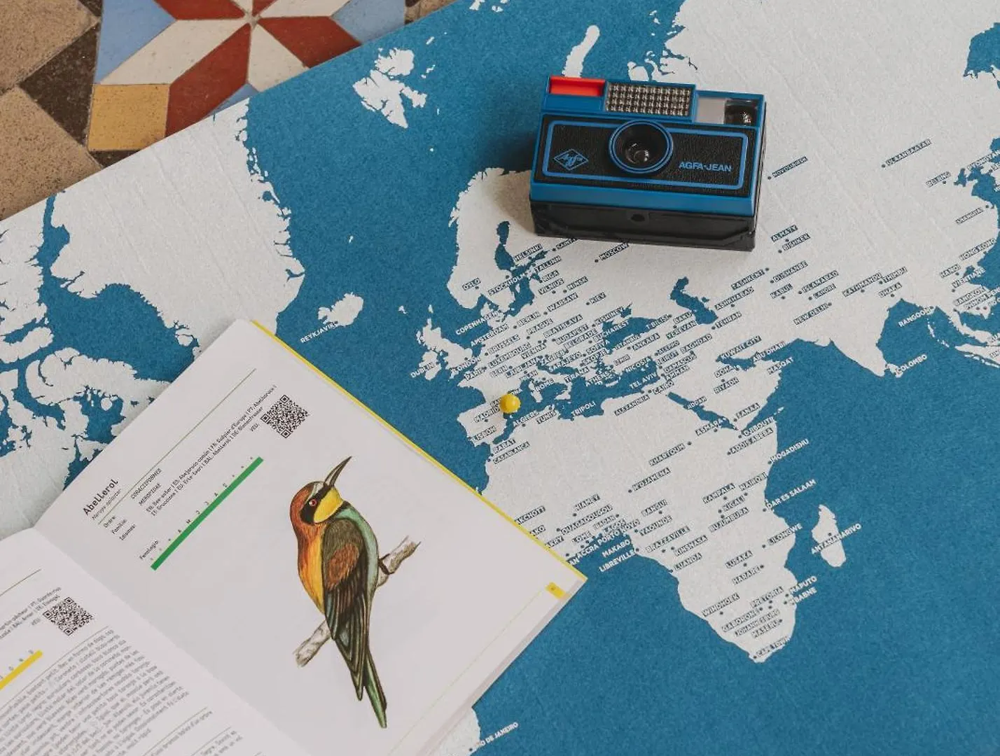 Piulet Hostel Barcelona Spain